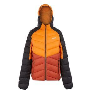 Regatta Mens Dalent  Insulated Jacket / Fox/Red Ochre